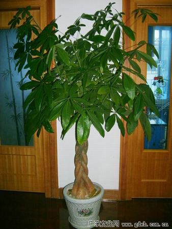 20111025103840737.jpg